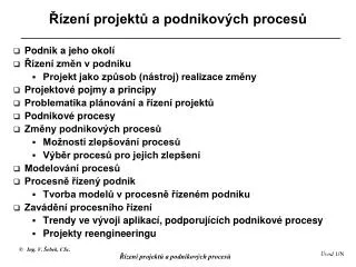 zen projekt a podnikov ch proces