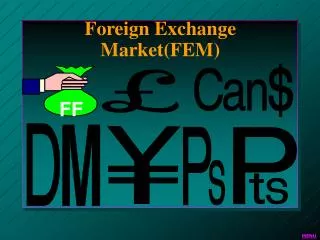 Foreign Exchange Market(FEM)