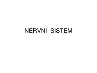 nervni sistem