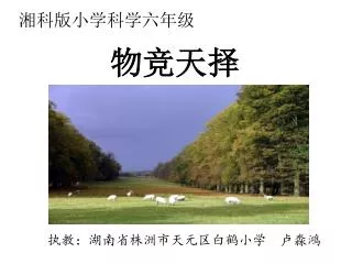 slide1
