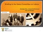Briefing to the Select Committee on Labour - slide 1