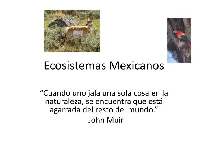 ecosistemas mexicanos
