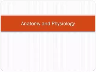 anatomy and physiology