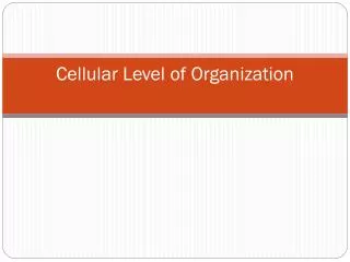 Cellular Level of Organization
