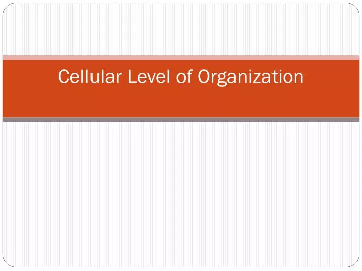 cellular level of organization