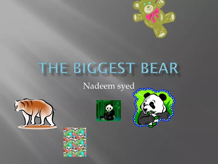 the biggest bear