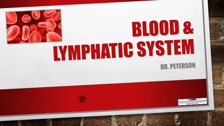 blood lymphatic system