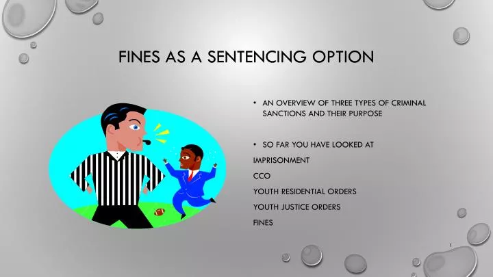 fines as a sentencing option