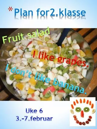 plan for2 klasse