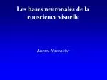 Les bases neuronales de la conscience visuelle Lionel Naccache - slide 1
