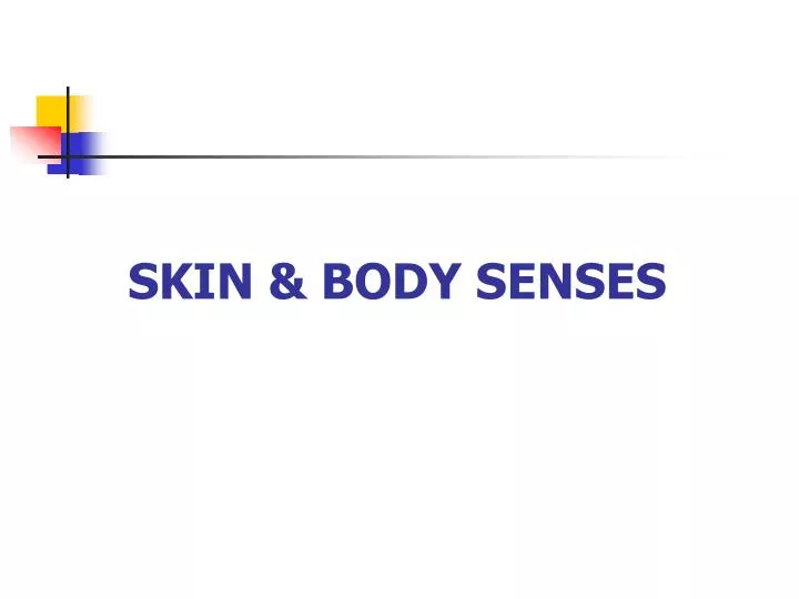 skin body senses