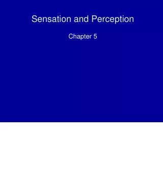 Sensation and Perception