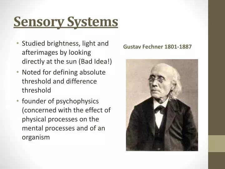 sensory systems