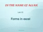 Mastering VBA in Excel: A Guide to User Forms and Programming Basics - slide 1