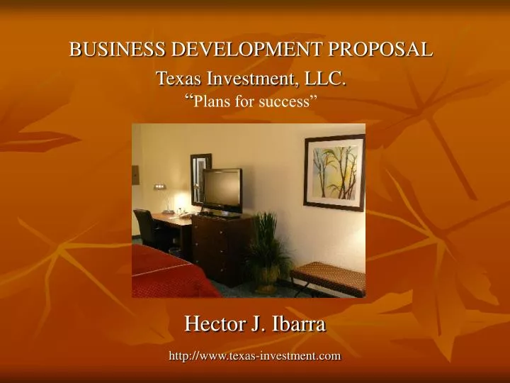business development proposal texas investment llc plans for success
