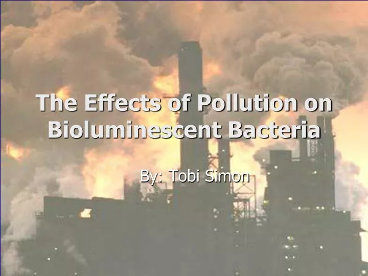 the effects of pollution on bioluminescent bacteria