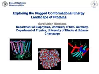 Exploring the Rugged Conformational Energy Landscape of Proteins