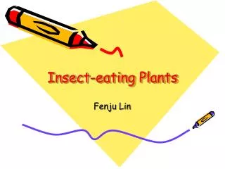 Insect-eating Plants