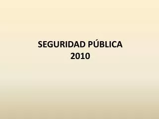 seguridad p blica 2010