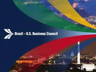 OPPORTUNITIES AND RISKS IN BRAZILIAN OIL &amp; GAS