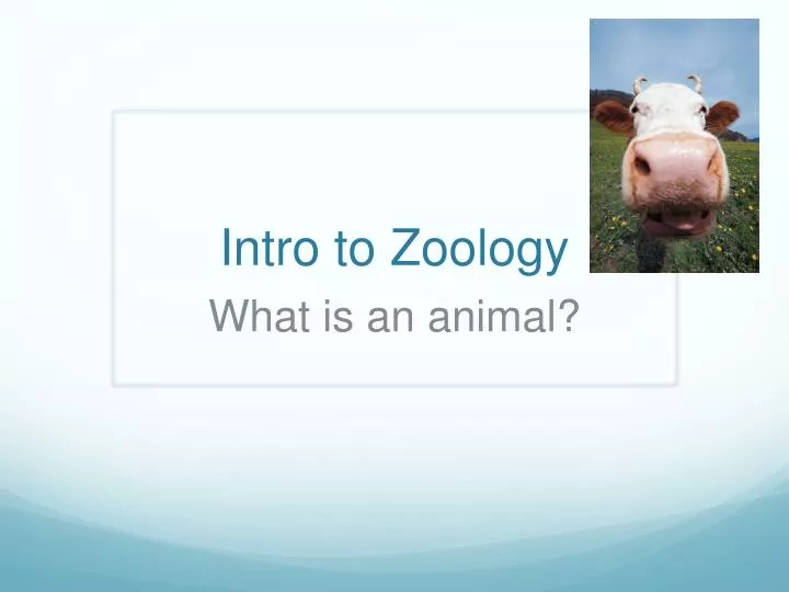 intro to zoology