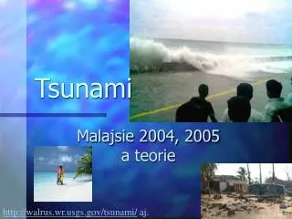 tsunami