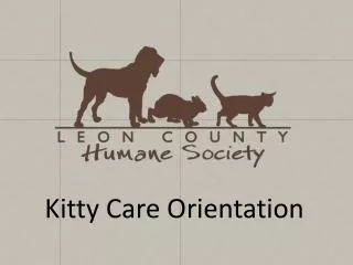 Kitty Care Orientation