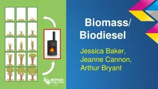 Biomass/ Biodiesel