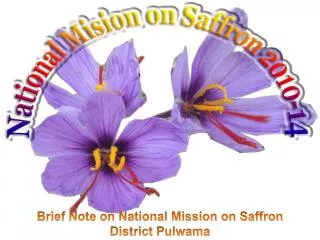 Brief Note on National Mission on Saffron District Pulwama