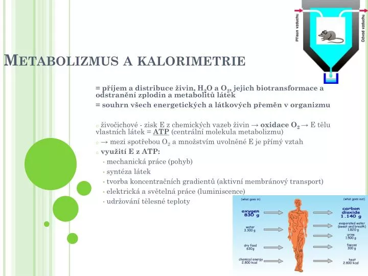 metabolizmus a kalorimetrie