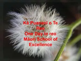 K? Puanan? o Te Reo One Day te reo M?ori School of Excellence