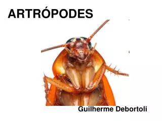 artr podes
