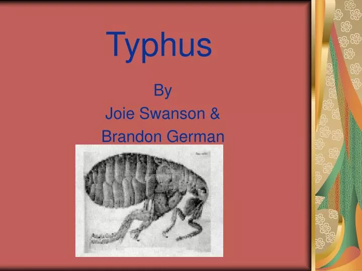 typhus