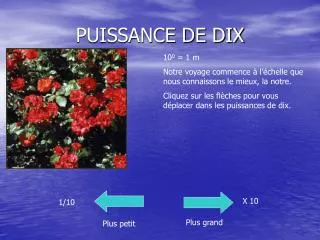 puissance de dix