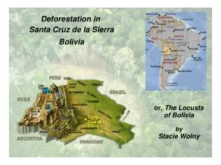 Deforestation in Santa Cruz de la Sierra Bolivia