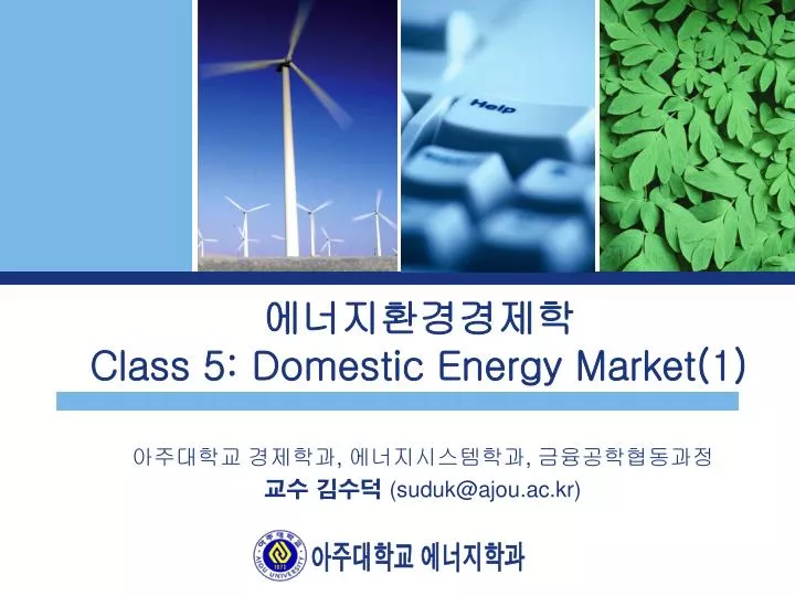 class 5 domestic energy market 1