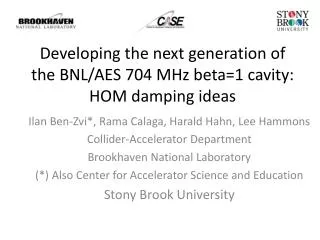 Developing the next generation of the BNL/AES 704 MHz beta=1 cavity: HOM damping ideas