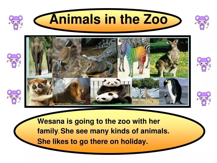 animals in the zoo