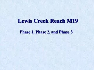 Lewis Creek Reach M19