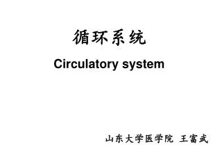 circulatory system