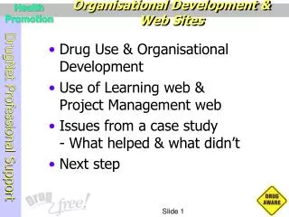Organisational Development &amp; Web Sites