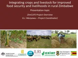 Integrating crops and livestock for improved food security and livelihoods in rural Zimbabwe
