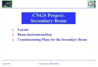 CNGS Project: Secondary Beam