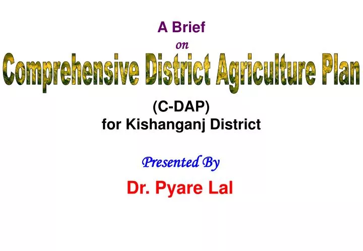 a brief on c dap for kishanganj district