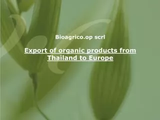 Bioagrico.op scrl Export of organic products from Thailand to Europe