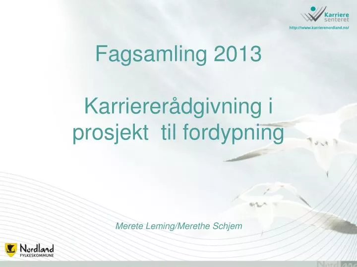 fagsamling 2013 karrierer dgivning i prosjekt til fordypning merete leming merethe schjem