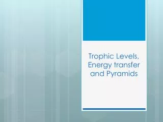 Trophic Levels, Energy transfer and Pyramids
