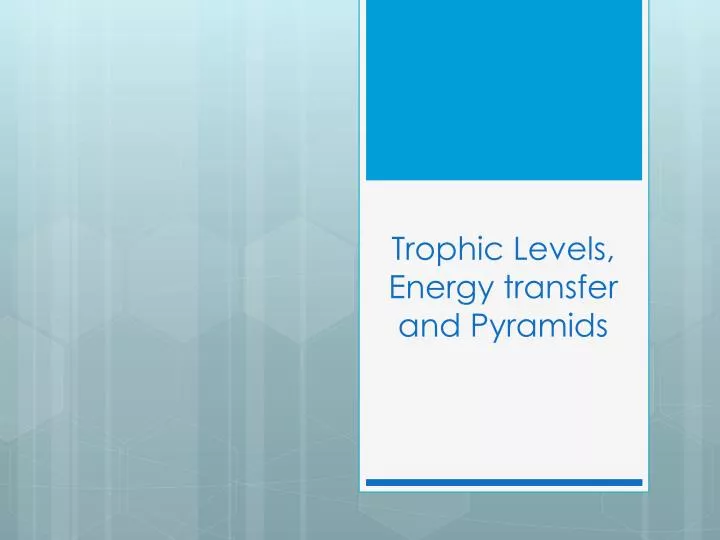 trophic levels energy transfer and pyramids