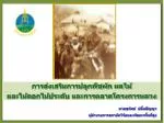 การส่งเสริมการปลูกพืชผัก ผลไม้ และไม้ดอกไม้ประดับ และการตลาดโครงการหลวง - slide 1