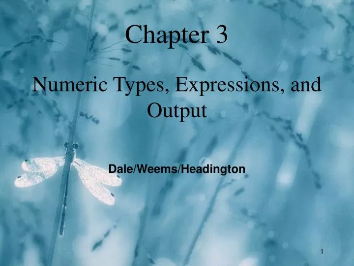 chapter 3 numeric types expressions and output